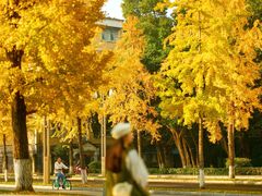 -四川大学(望江校区)