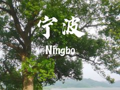 -东钱湖旅游度假区