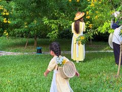 -深圳国际园林花卉博览园