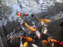 -天津海河悦榕庄·Lobby Lounge大堂吧