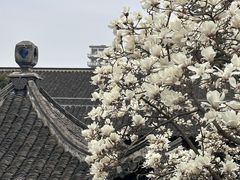 -何园