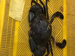 -大螃蟹海鲜餐厅