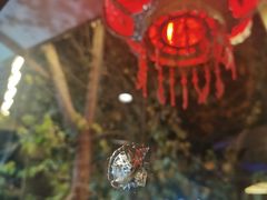 -粤秀小厨·广式早茶(辽宁路店)