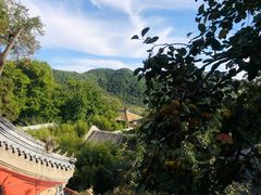 -潭柘寺景区