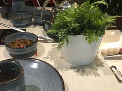 -百年果林椰子鸡(中洲店)