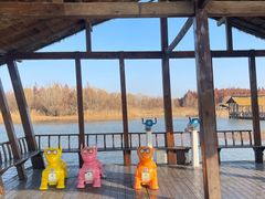 -溱湖国家湿地公园