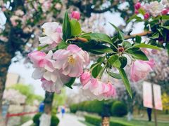 -元大都城垣遗址公园