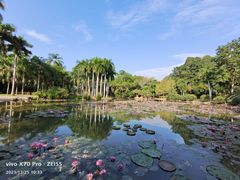 -中国科学院西双版纳热带植物园