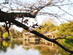 -西湖外事游船(花港观鱼码头)