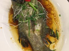 -新兴家喻酒家·羊城名宴(昌岗店)