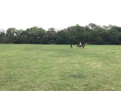 -合肥三国新城遗址公园