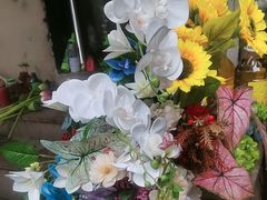 -金陵之星大酒店·中餐厅