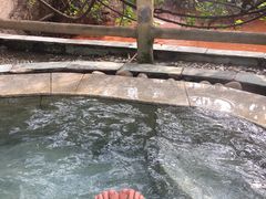 -天赐温泉