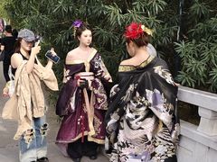 -洛阳市隋唐城遗址植物园