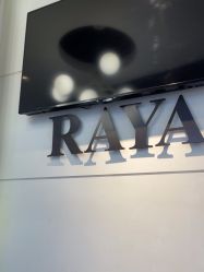 -RAYA韩国造型