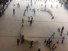 -Lee fa yuan express plus