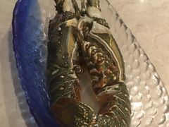 -海鼎荟海鲜姿造(晋江宝龙店)