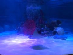 -沈阳海洋探索中心