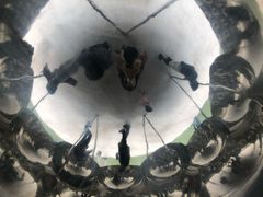 -金泽21世纪美术馆