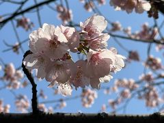 -静安雕塑公园