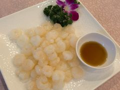 -龙景軒大酒店(共康店)