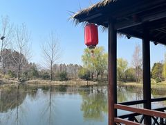 -澹台湖公园