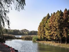 -溱湖国家湿地公园