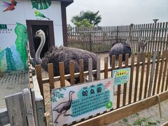 -太阳岛度假酒店