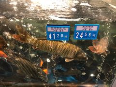 -麦德龙(郑东店)