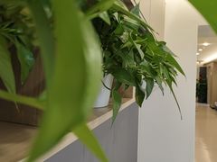 -北京地坛口腔门诊部