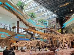 -安徽省地质博物馆