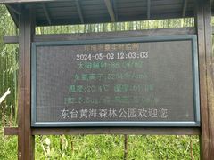 -黄海国家森林公园