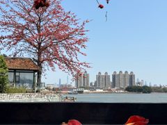 -喜洲吧·江畔老船厂·庭院餐厅(喜临院店)