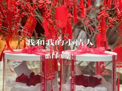 -迦南的早晨蛋糕甜品集合店