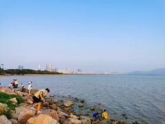 -深圳湾公园(南山区)
