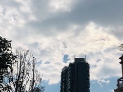 -四海公园(南山区)