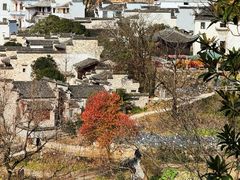 -塔川景区