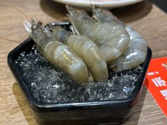 -火炉火自助餐(五道口购物中心店)