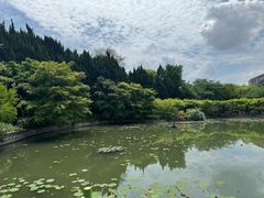 -嘉定紫藤园