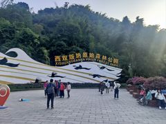 -西双版纳原始森林公园