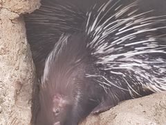-海南热带野生动植物园