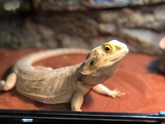 -藦茜花园宠物主题亲子互动体验馆(国顺东路店)