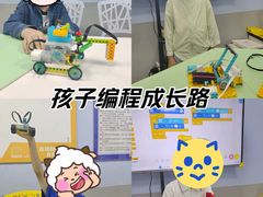 -童程童美·信息学竞赛·机器人编程·少儿编程(太阳宫校区)