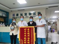 -康旭宠物医院(郑州总院)