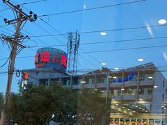 -金种子大酒店