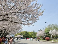 -江南大学(蠡湖校区)