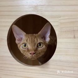 P6p8ZnzMCOuOJQrtgLdCA3cSN_MiVyGJ1FyYQq6QCUuPehjCOzPN2DK1MQtsjbXYuzFvxlbkWx5uwqY2qcjixFEuLYk00OmSS1IdNpm8K8sG4JN9RIm2mTKcbLtc2o2vfCF2ubeXzk49OsGrXt_KYDCngOyCwZK-s3fqawWswzk.jpg