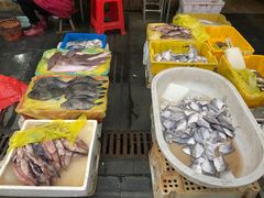 -芦潮港集贸市场