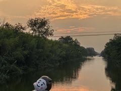 -黄海国家森林公园