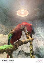 -Zoolung Zoolung动物主题公园(海信广场店)